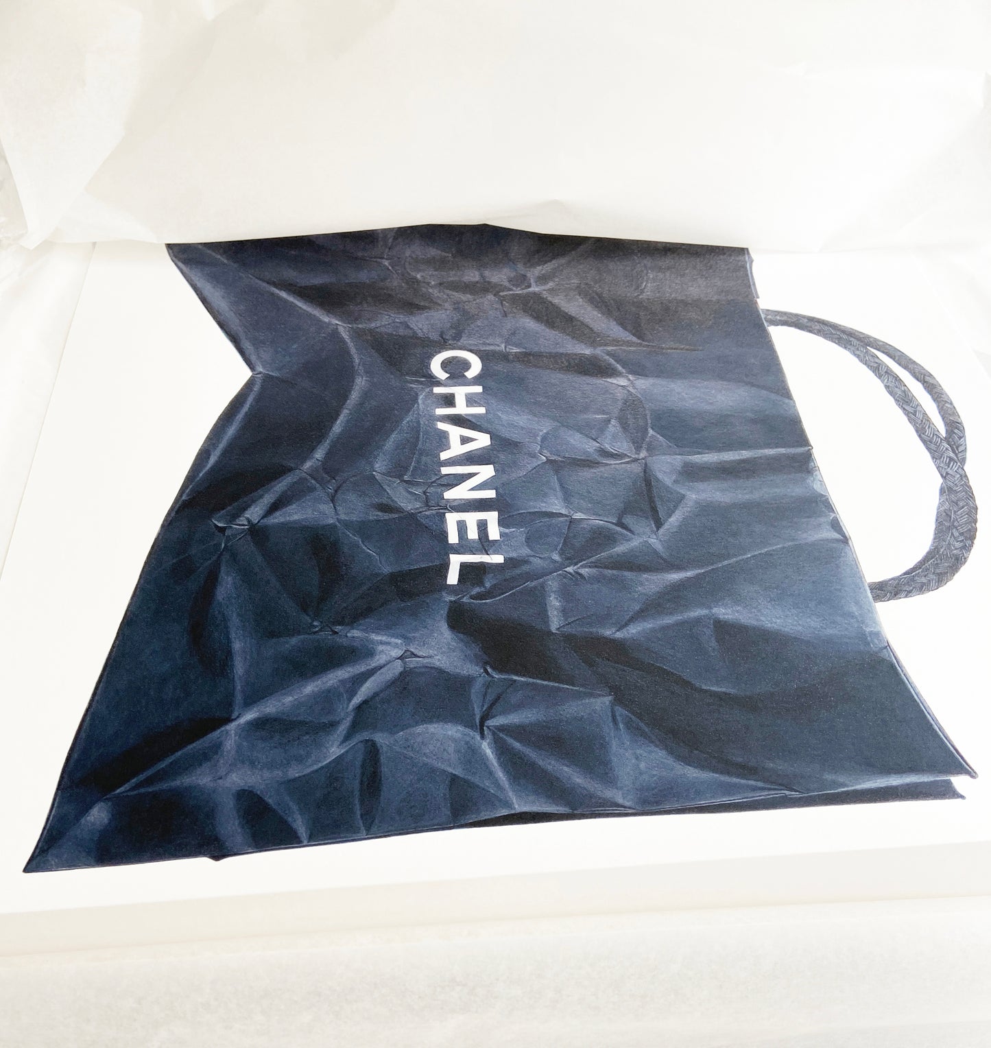 Fine Art Giclée Print "Chanel Crumble Bag"